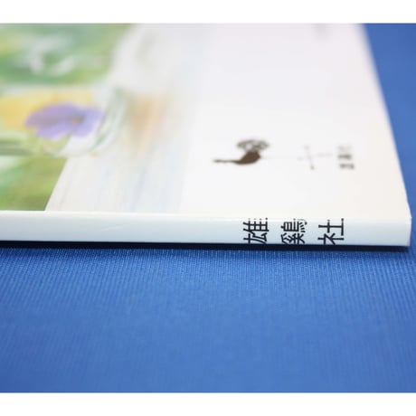 ファイバークラフトでつくる雑貨  / 雄鶏社