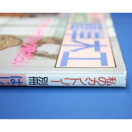 はじめての簡単木工 / 私のカントリー別冊 / 主婦と生活社