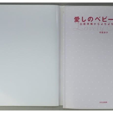 愛しのベビーウェア / 出産準備からよちよち歩きまで  / 月居良子 / 文化出版局