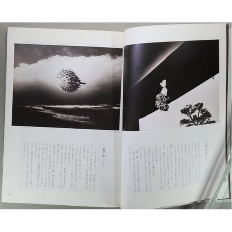 季刊銀花 第三十四号 夏 昭和53年/1978年34号 文化出版局