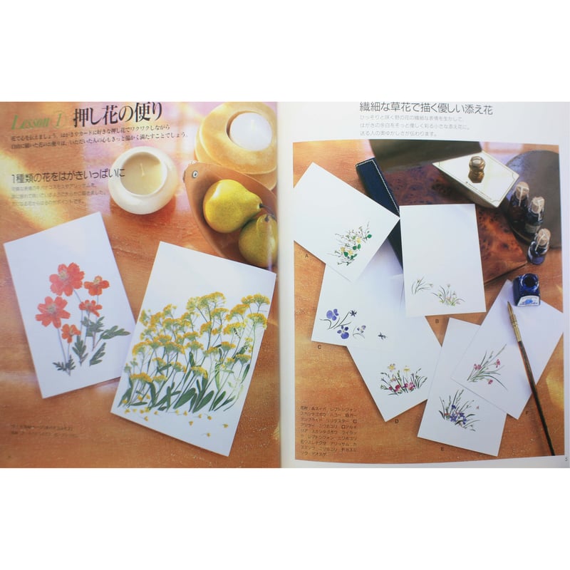 た*ん様 柳川式電気押し花機 おし花器 柳川式 電気おし花器 押し花道具