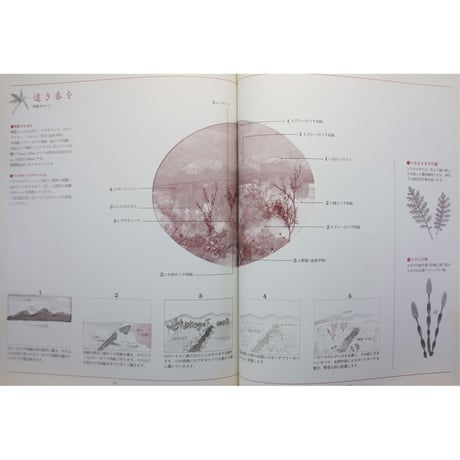 私の花絵旅 安永良子押花作品集 / 日本ヴォーグ社