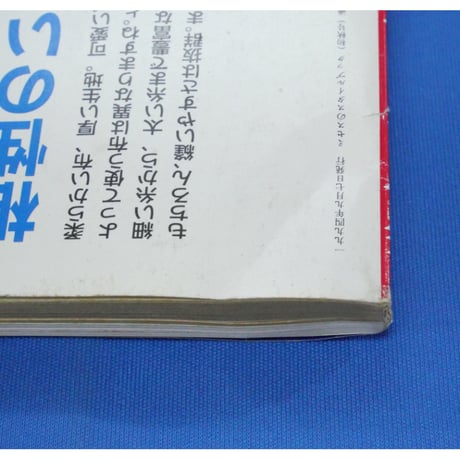 ミセスのスタイルブック 1994年初秋 / 文化出版局