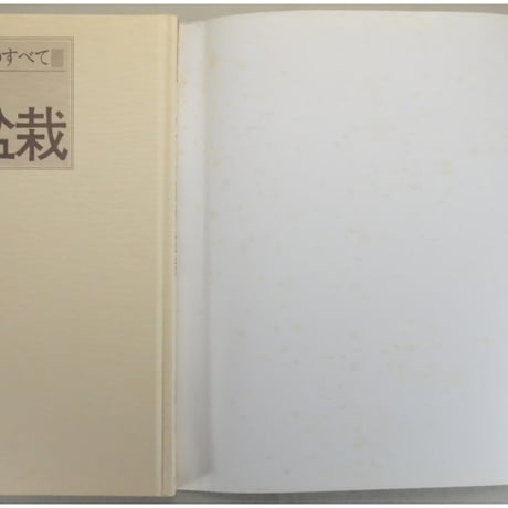 これからの創作盆栽 国藤光枝・盆創のすべて / マコー社