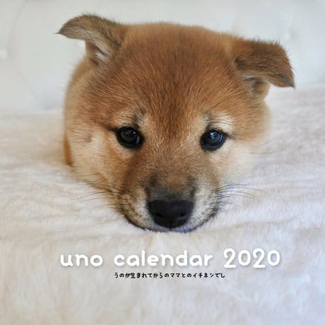 【送料無料】2020年『UNO』壁掛けカレンダー