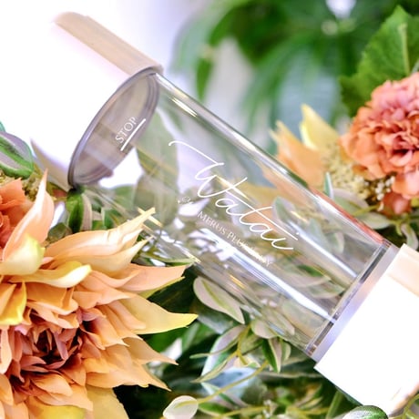 Watai × MERUS PLUS 限定水素ボトル