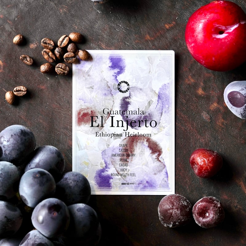 トップスペシャルティ】Guatemala El Injerto 