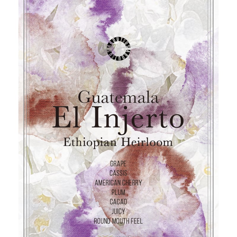 トップスペシャルティ】Guatemala El Injerto 