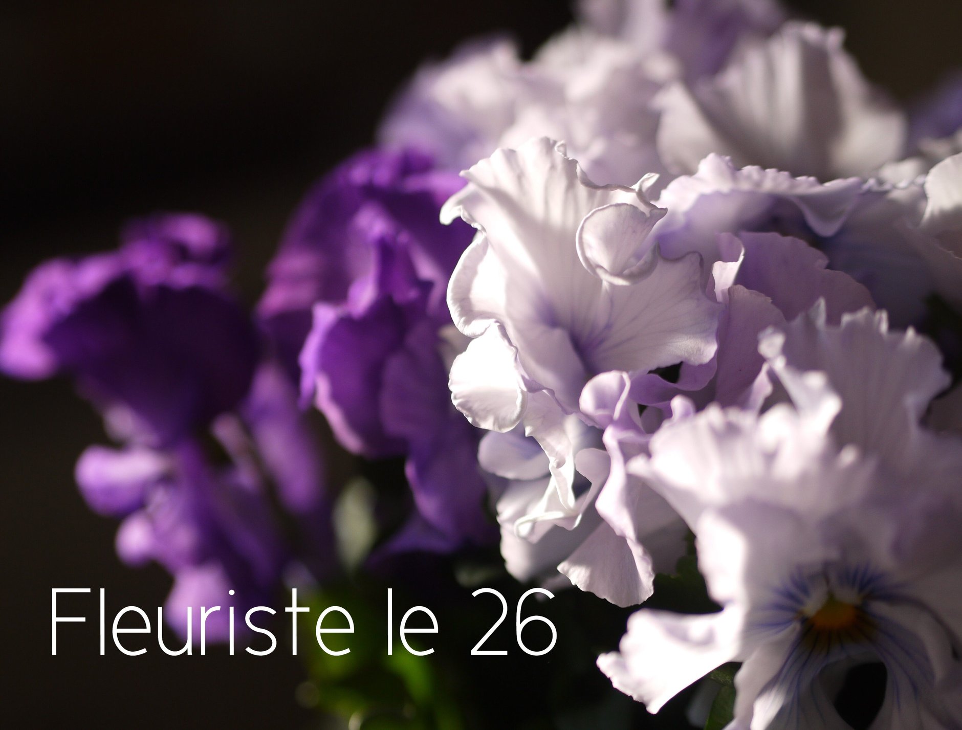Fleuriste le26