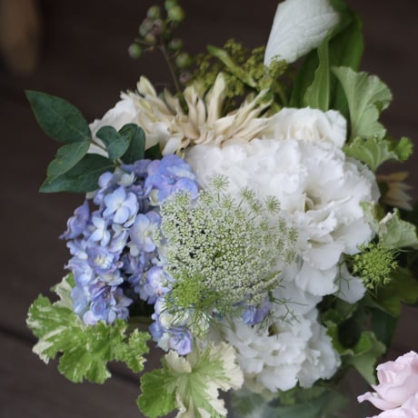 【 Le26- Monthly bouquet 】