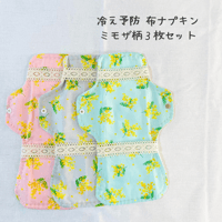ブルー・花柄）布ナプキン大小3枚セット【冷え予防・尿もれ・生理