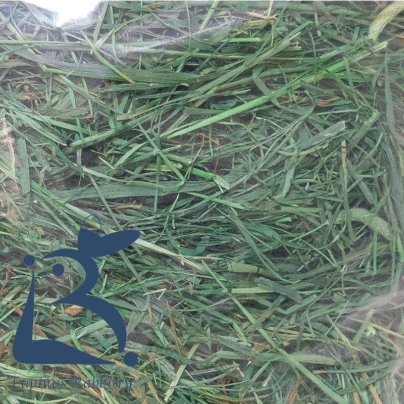 アメリカ産チモシー スーパーグレード 2番刈り 270g | うさぎ専門店