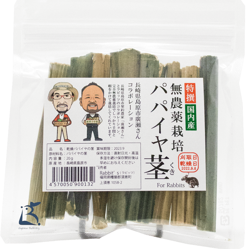 700g×２専用出品　(国産・高品質)乾燥パパイヤの茎 小動物用品 700g×2専用出品 (国産・高品質)乾燥パパイヤの茎
