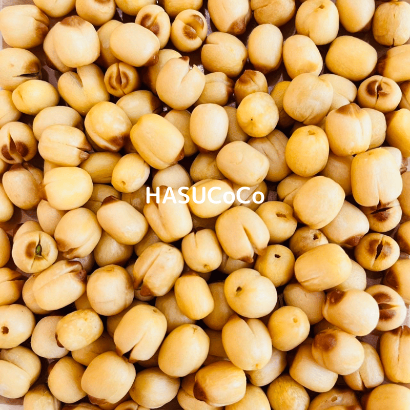 送料無料】はすまめ(全10種類セット) ベトナム産 蓮の実 ハス種子 はす  