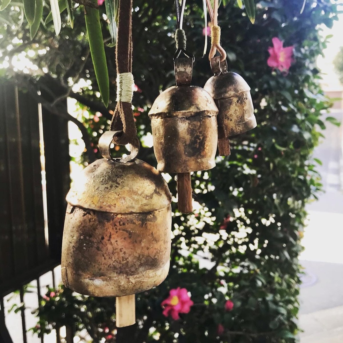 ファッションベル　カウベル COW BELL (L) | LIMONCHELLO