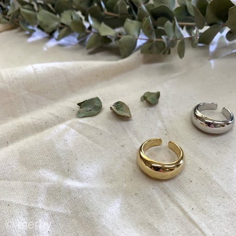 ring ME22