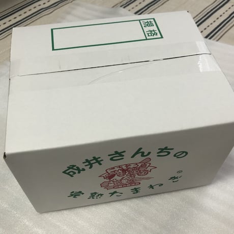 【送料無料】成井さんちの完熟たまねぎスープ　100本セット
