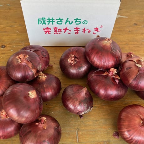 【隠れた銘品】成井さんちの赤たまねぎ3㎏