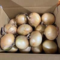 【新玉のチビ玉】完熟たまねぎ 5kg