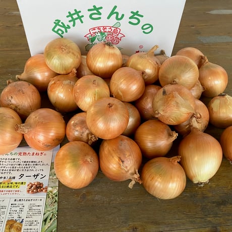 サニー@早見一覧作成済　鉄コンピ　金の卵編 成井さんちの完熟たまねぎ 淡路島