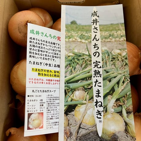 【新玉のチビ玉】完熟たまねぎ 5kg