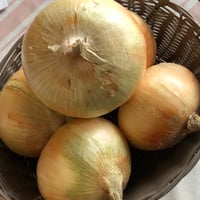 完熟たまねぎ20kg 　新玉