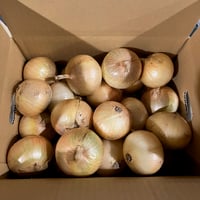 【新玉のチビ玉】完熟たまねぎ　3kg