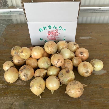 成井さんちの完熟たまねぎ 淡路島