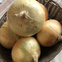 完熟たまねぎ　10kg　２ケース　七宝