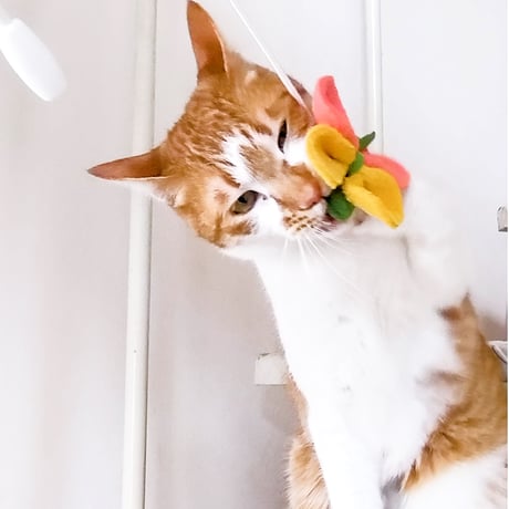 猫じゃらロープ（またたび入）