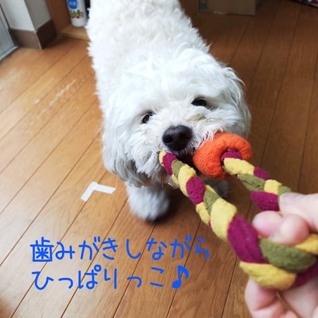 笛のフリースリング玩具