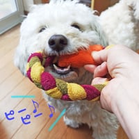笛のフリースリング玩具