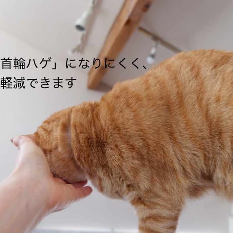 手編み組ヒモの小さな迷子札