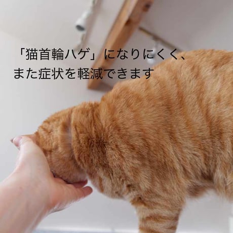 パーツ／手編み組ヒモの小さな迷子札