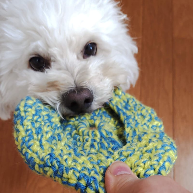 手編みのソフトフリスビー | forZERO