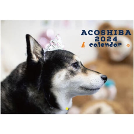 【予約販売】 柴犬のacoshiba 2024年 壁掛け カレンダー KK24243
