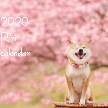 【送料無料】2020年『Riri』壁掛けカレンダー