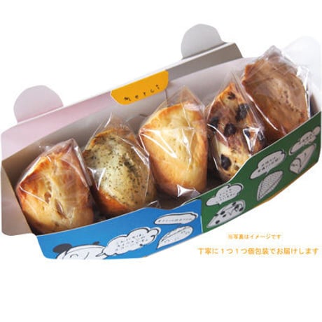 ＜6月期＞スコーンボックス【水玉】