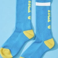 アレキサンダーリーチャン ALCU HI SOCKS