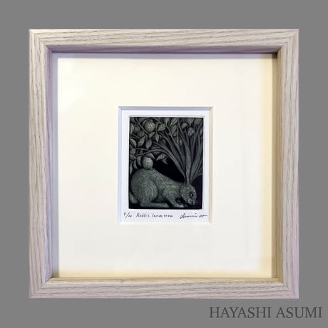 メゾチント | STORES