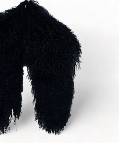 ys Yuji SUGENO (イース ユウジ スゲノ) 220952501-BLACK / Tibetan lamb fur Detachable collar