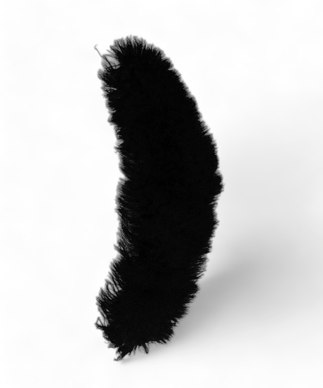ys Yuji SUGENO (イース ユウジ スゲノ) 220952501-BLACK / Tibetan lamb fur Detachable collar