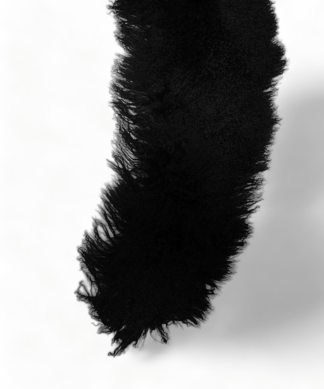ys Yuji SUGENO (イース ユウジ スゲノ) 220952501-BLACK / Tibetan lamb fur Detachable collar