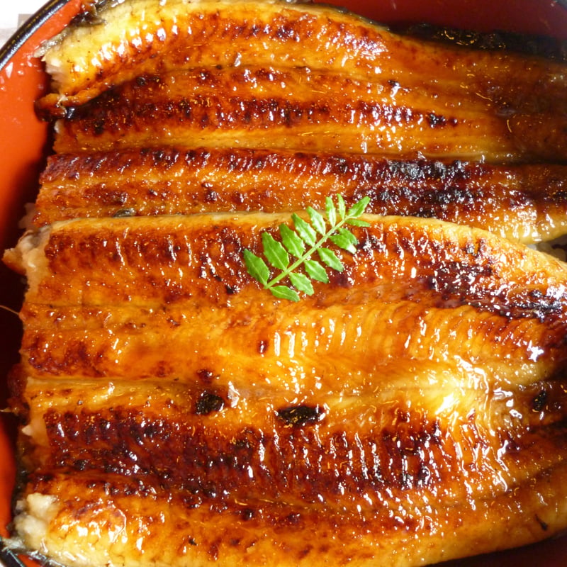 うな重 特上 | 鯉の六十里オンラインショップ
