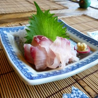 鯉のアライ