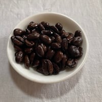 インドネシア　フリンザ・コレクティブ