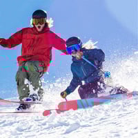 THE PROFORM GOGGLE (PV24003)