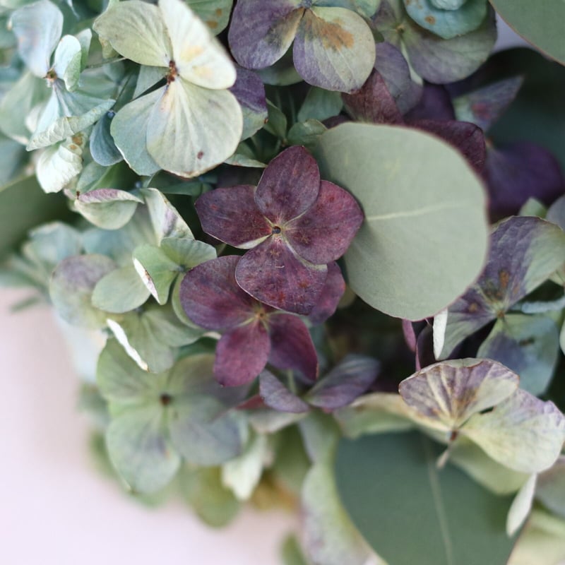 2.秋色紫陽花ハーフリース 秋色紫陽花と木の実のリースꎺ⠜秋冬オシャレなハーフリース