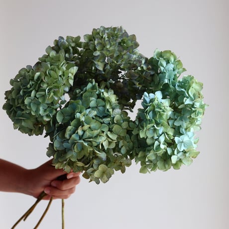 yuu hana様ご専用♡秋色紫陽花ドライフラワー 秋色紫陽花 | STORES