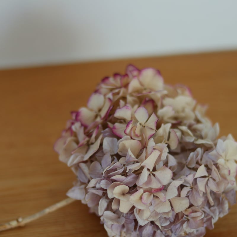 9.秋色紫陽花ハーフリース 9.秋色紫陽花ハーフリース 秋色紫陽花のリース №2 | karai fleuriste